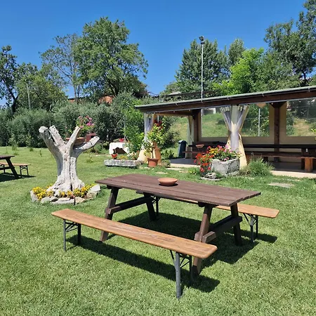 Agriturismo Il Mandorlo *