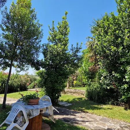 Agriturismo Il Mandorlo Cortona
