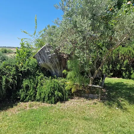 Agriturismo Il Mandorlo *