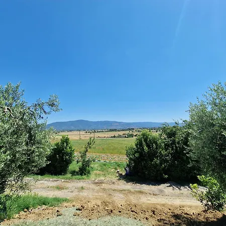 Farm stay Agriturismo Il Mandorlo