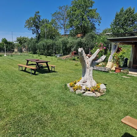 Séjour à la ferme Agriturismo Il Mandorlo Cortone
